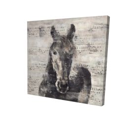Abstract horse with typography - 12x12 Print on canvas