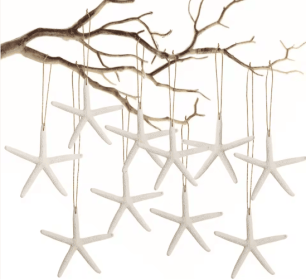 20 PCS Christmas Starfish Hanging Ornaments 3-4'' Natural Starfish With Rope (Color: White)